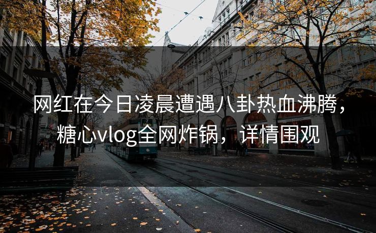 网红在今日凌晨遭遇八卦热血沸腾，糖心vlog全网炸锅，详情围观
