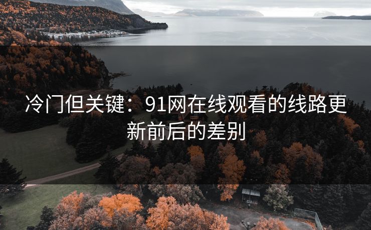 冷门但关键：91网在线观看的线路更新前后的差别